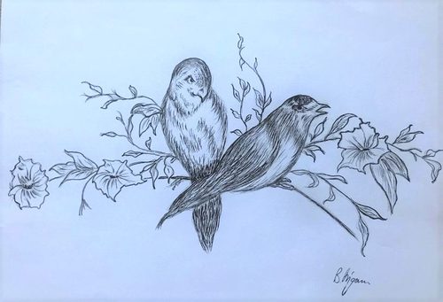 Brenda, birds in the bush.